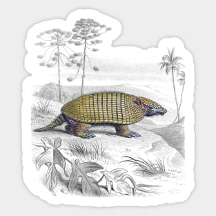 Armadillo (Victorian Painting) Sticker